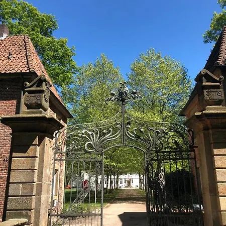 K1889 - Elin ריין