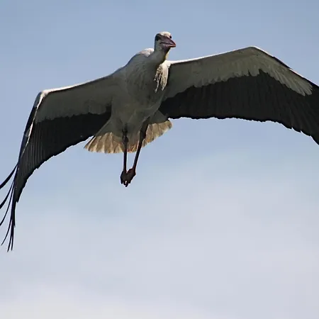 شقة K1889 - Elin رين