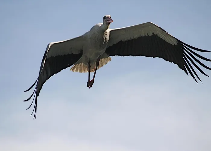 شقة K1889 - Elin رين